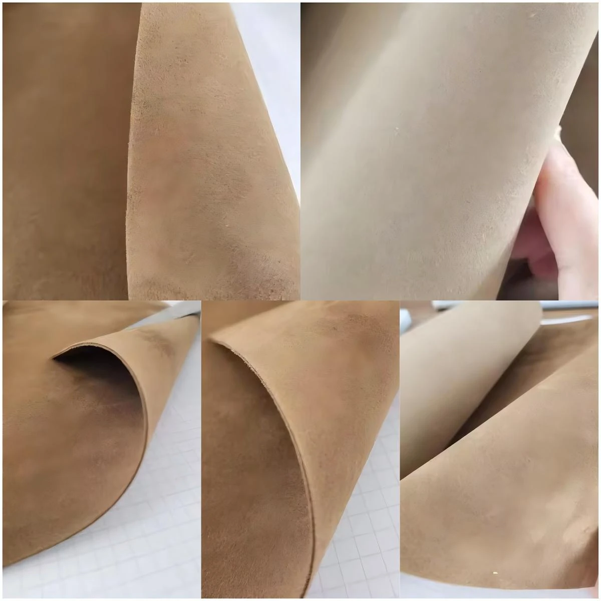 product-1200-1200 product-1200-1200